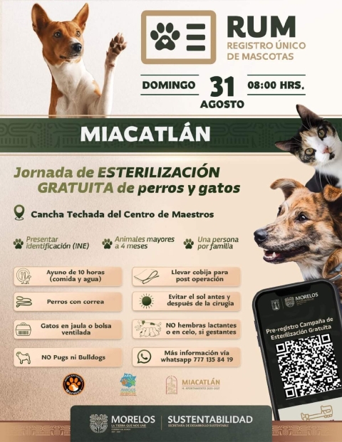 Habrá jornada de esterilización gratuita para perros y gatos en Miacatlán
