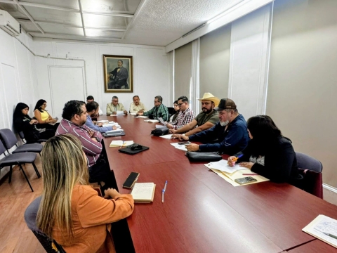 Avanza regulaci&oacute;n de gr&uacute;as y corralones en Morelos; Tania Valentina Rodr&iacute;guez insiste en proteger a las v&iacute;ctimas