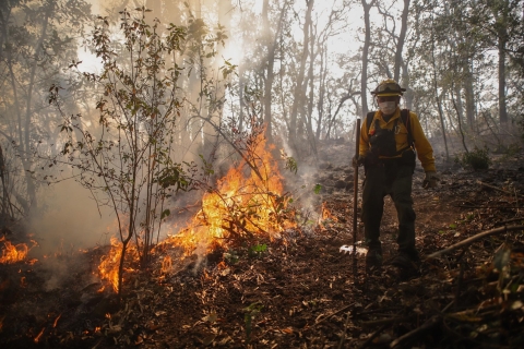 Establece SDS despliegue operativo para atender incendios forestales