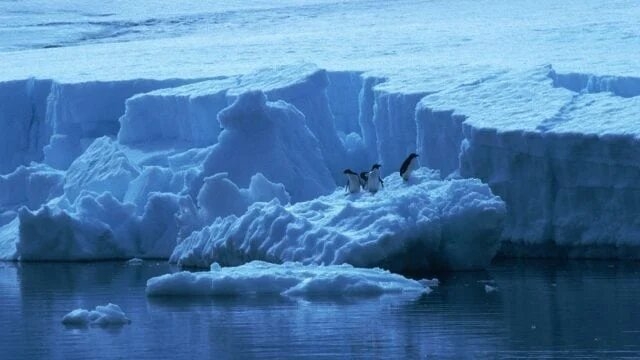 Antártida pierde 1.5 millones de kilómetros cuadrados de hielo