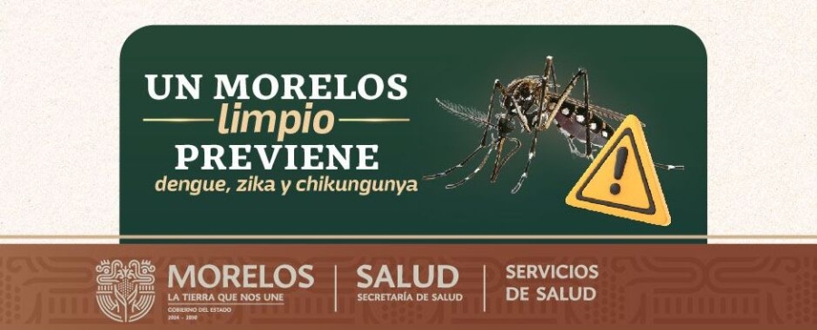 Llama SSM a mantener acciones de prevención contra el dengue