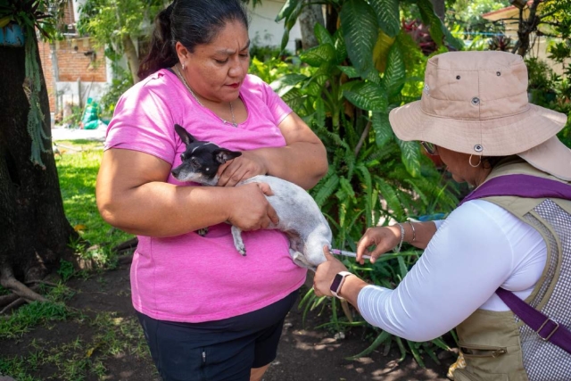 Inicia JS-III jornada de vacunaci&oacute;n y esterilizaci&oacute;n canina y felina en la regi&oacute;n oriente
