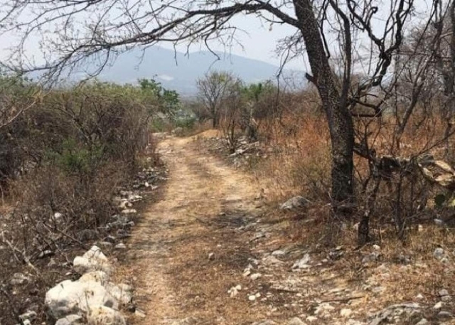 El cerro “San Miguel” es una de las zona que ya ha sido afectada por la invasión.