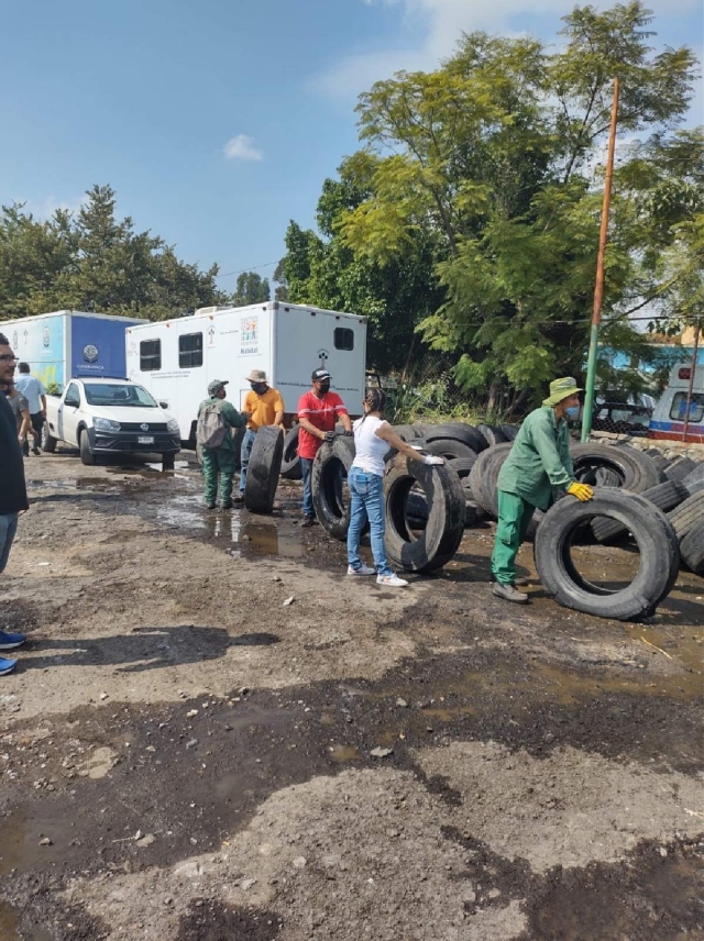 Realizan faena en favor de canes albergados