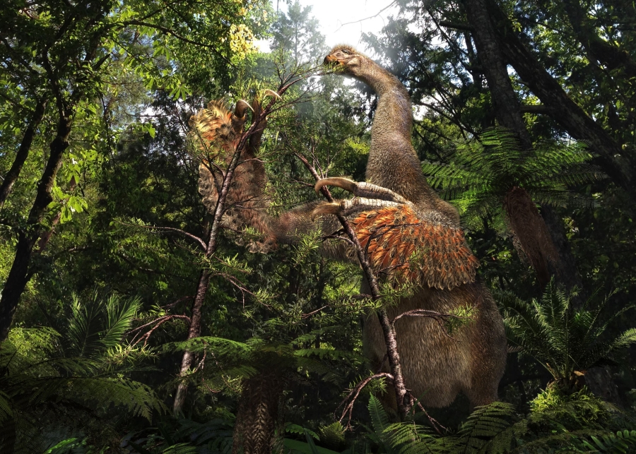 Descubren en Mongolia fósil de dinosaurio con garras gigantes