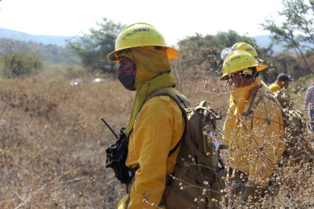 Se integró el Comité de Prevención y Combate de Incendios Forestales