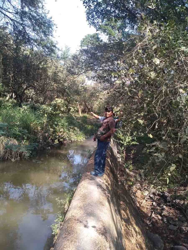 Caminan largas distancias para seguir la trayectoria de los canales de riego.