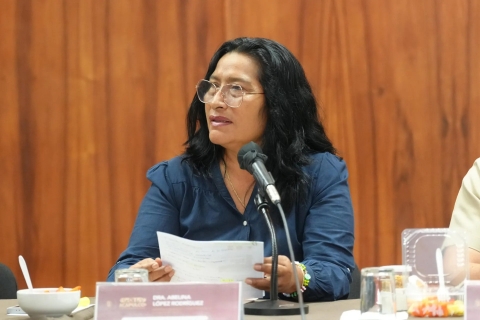 Corte suspende remoción y auditoría contra Abelina López, alcaldesa de Acapulco