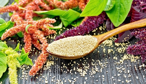 El amaranto: el grano mexicano que mejora el ánimo