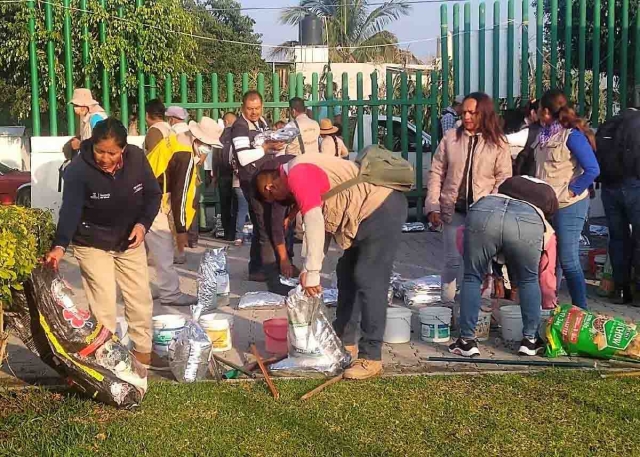 Brigadas recorrerán el municipio para colocar el larvicida.