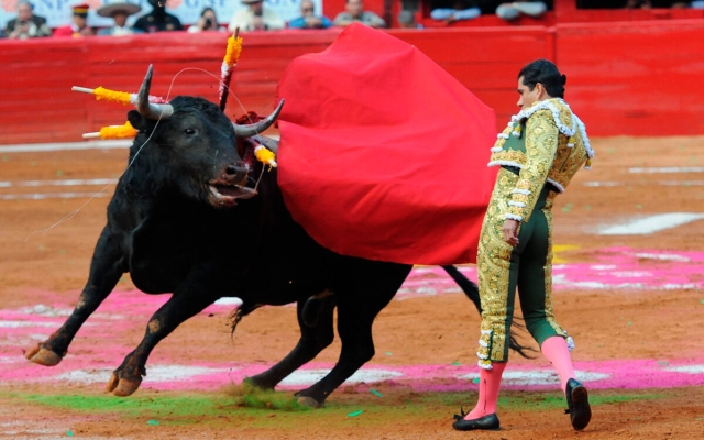 Dictan suspensión provisional de corridas de toros en la Ciudad de México