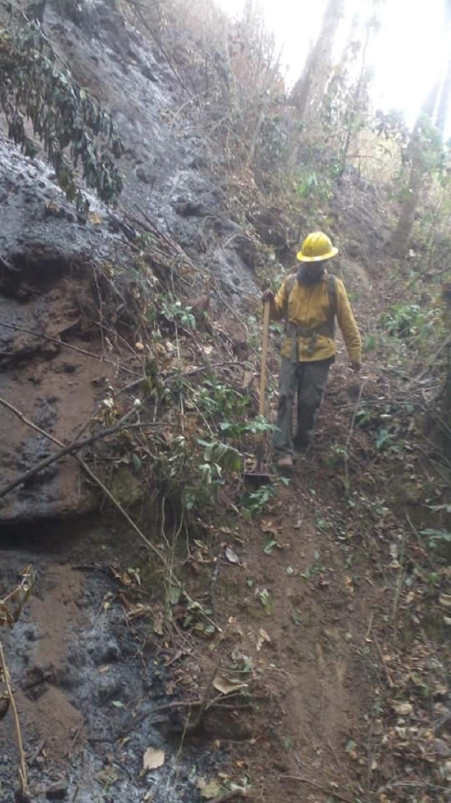 Por sequía aumentarán incendios forestales