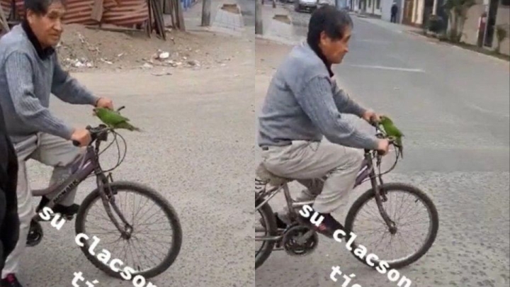 Abuelito utiliza a su loro como claxon para su bicicleta
