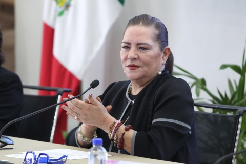 Reforma electoral: INE presentará su propuesta en noviembre