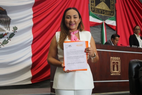 Impulsa diputada Luz Dary Quevedo atención prioritaria y no discriminación por orientación sexual o identidad de género en materia de salud mental