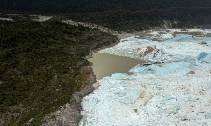 Cambio climático amenaza a 48% de especies animales y vegetales en el mundo