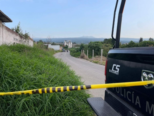 El cadáver estaba a orillas de la carretera.