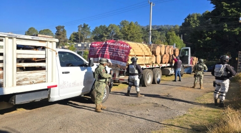 Intensifica Gobierno de Morelos acciones de combate a la tala clandestina y contra la deforestación
