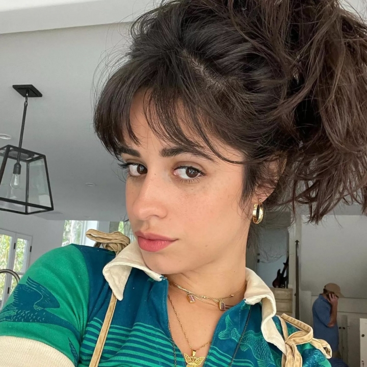 Así fue como Camila Cabello logró ‘reconciliarse’ con las redes sociales