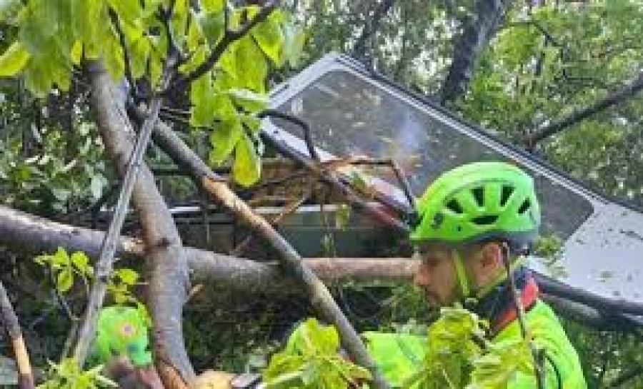 Teleférico se desploma en sur de Italia; hay cuatro muertos y un herido