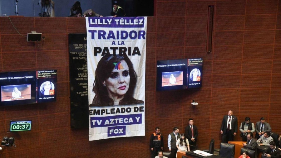 Diputada del PT solicita a Lilly Téllez separarse de sus funciones por traición a la patria