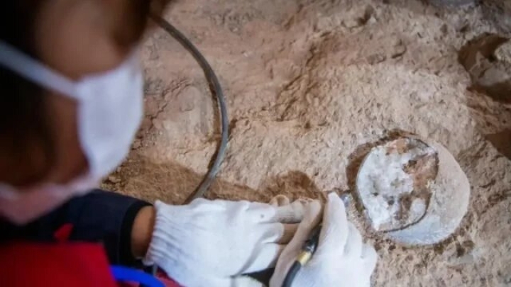 Descubren tres huevos de dinosaurio cristalizados en China