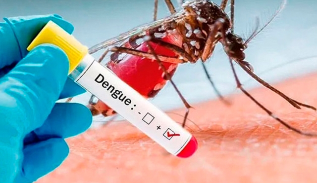 Miacatlán, con el mayor número de casos de dengue