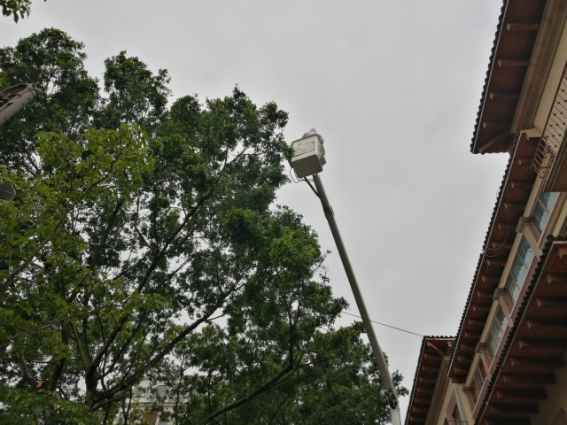 Continúan labores de combate de plaga en árboles del jardín Juárez