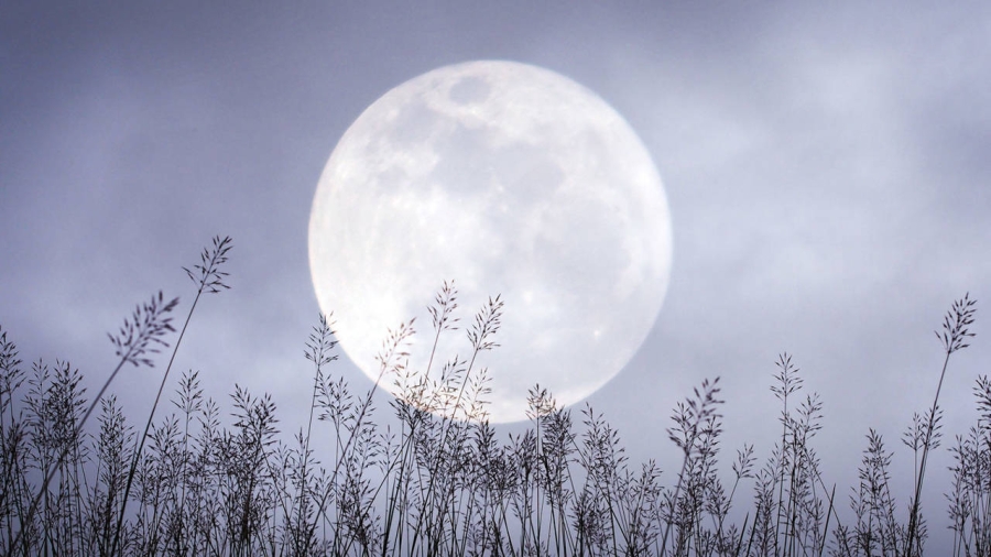 Luna Rosa 2025: cuándo y cómo ver la luna llena de abril