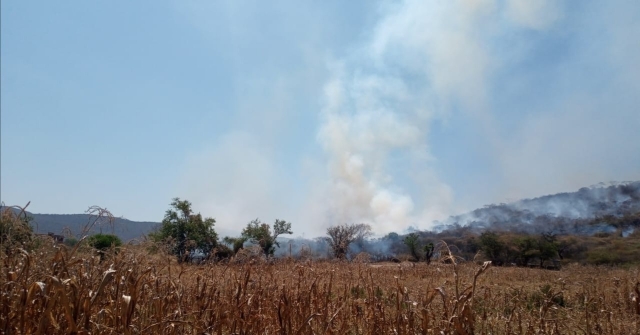 Atienden brigadistas incendio forestal en paraje &#039;Quinta piedra&#039; en Tepoztlán