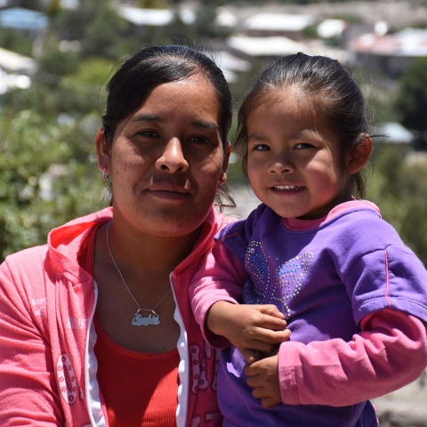 De acuerdo con el Banco Interamericano de Desarrollo, cerrar las brechas ocupacionales de género podría generar un aumento de entre 4 y 15 por ciento del PIB en los países del Cono Sur.