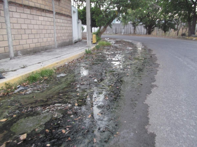 El escurrimiento de aguas negras ya form&oacute; camino y expide olores nauseabundos, con la consecuente propagaci&oacute;n de agentes infecciosos.