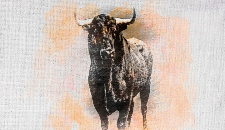 Día Mundial contra la Tauromaquia