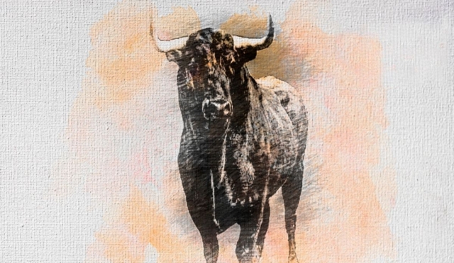Día Mundial contra la Tauromaquia