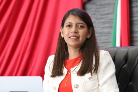 Exhorta diputada Eleonor Martínez a Ceagua atender la problemática que presenta el canal principal La Mesa en Tlaltizapán