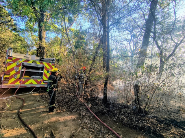 Atiende PC Morelos incendio forestal en Lomas de Ahuatl&aacute;n