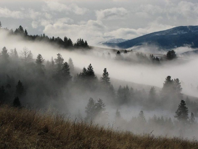 Investigaciones recientes arrojan nueva luz sobre cómo se forma la niebla en las zonas montañosas