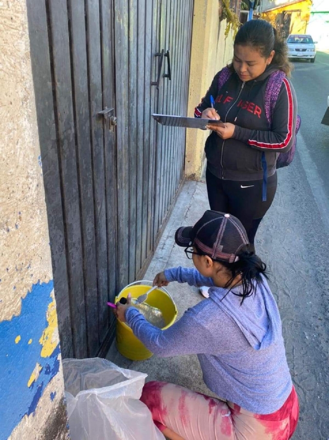 Las brigadas recorren las colonias y colocan insecticida especial en los depósitos de agua.