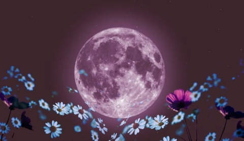 Martes 13 y Luna Llena: Ritualiza tu caos y atrae abundancia con estos consejos místicos