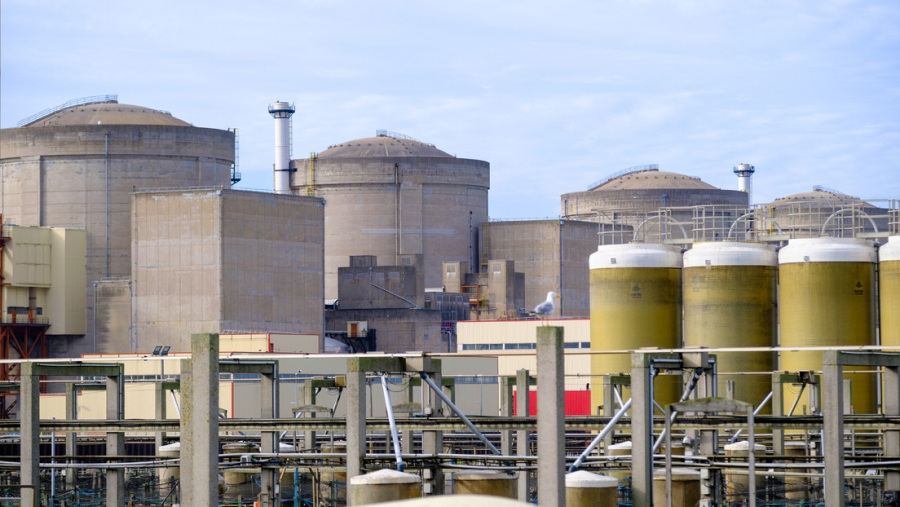 Medusas paralizan producción en la principal central nuclear de Francia