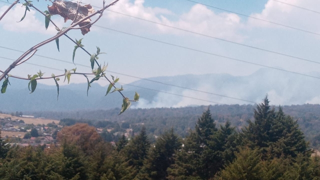 Atendió Mando Unificado cuatro incendios forestales, en Yautepec y Huitzilac