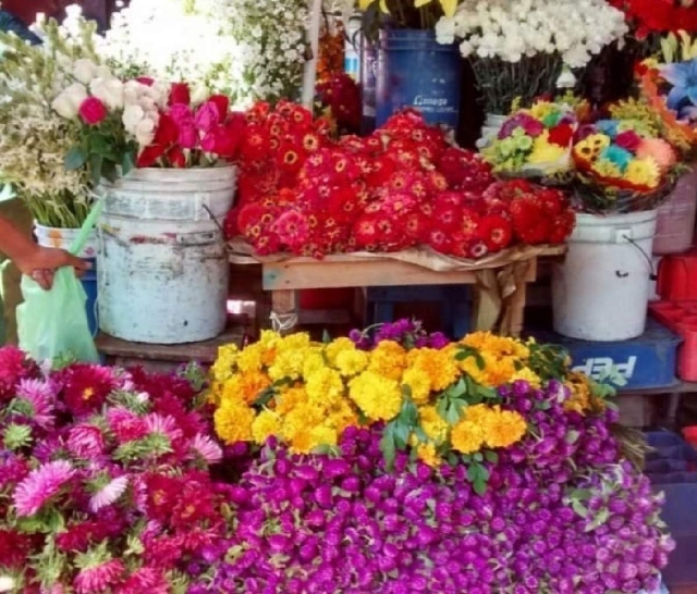 Los pedidos de flores para eventos crecen con firmeza, aseguró la entrevistada.