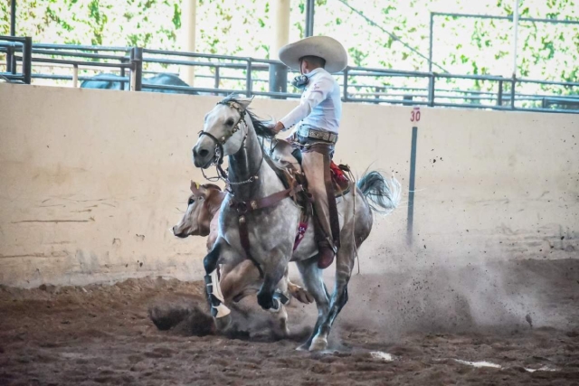 La proeza se consiguió en la categoría juvenil 16-18 años de edad dentro del bloque dos, según el anexo técnico de Conade, la cual consta de tener el mayor puntaje en terna en el ruedo.