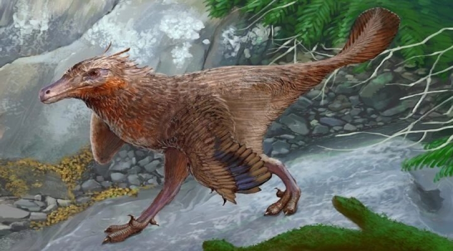 Reconstrucción de 'Diuqin lechiguanae'. 