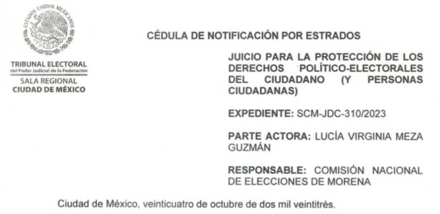 SRCDMX del TEPJF resolverá recurso promovido por aspirante morenista Lucía Meza