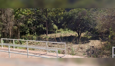 Hallan a una mujer sin vida en Tetecala