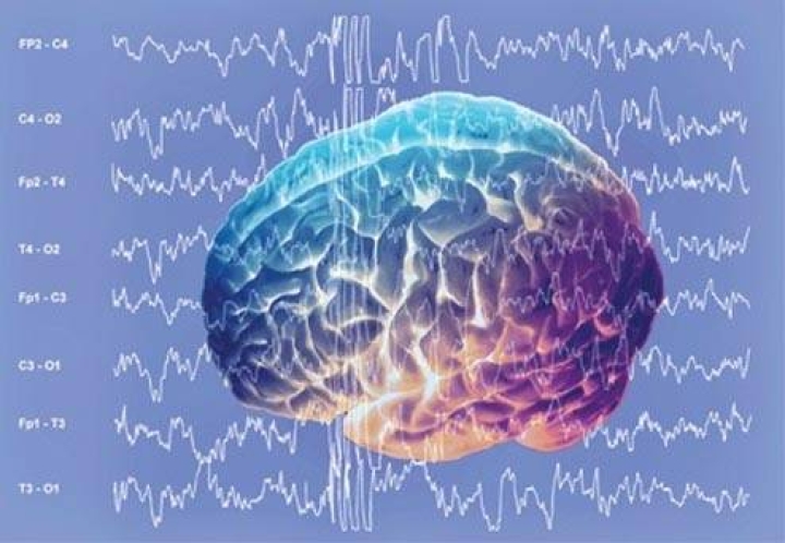 Interactuar con perros aumenta las ondas cerebrales que alivian el estrés