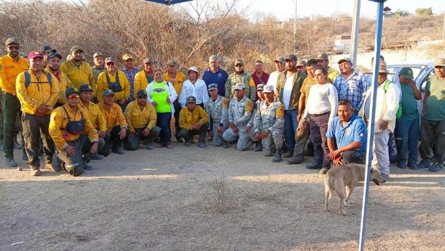 Los brigadistas dedicaron varios días para poder sofocar los incendios.