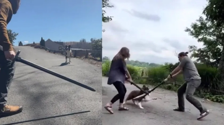 Perro se enfrenta a sus dueños en un duelo de espadas