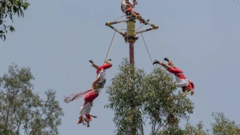 Voladores de Papantla caen desde 10 metros en Tihuatlán, Veracruz